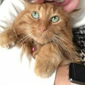 Meet your Posher, Brenna